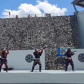 賑やかですの画像