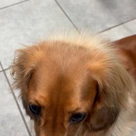 食べたら自分でお片付けの画像