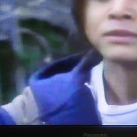 犬が見やすいアニメ？の画像