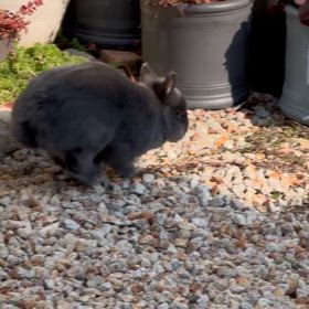 アップで撮ってみた^_^の画像