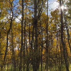 稲荷山と、、の画像