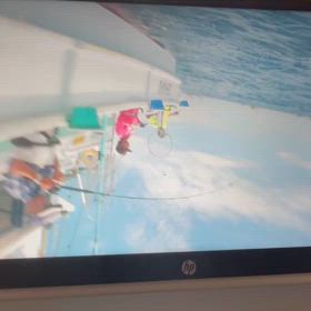 7/10（水）午前  シマアジの画像