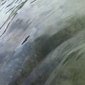 最近の週末のルーティンの画像