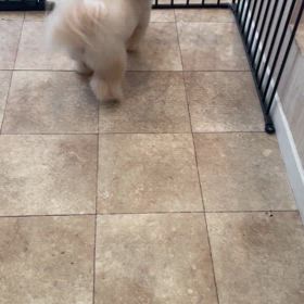 みるもくん♡の画像