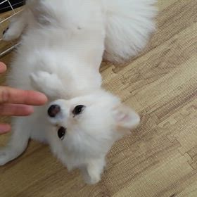 愚痴とストレスの画像