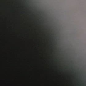 黒ネコのタンゴの画像