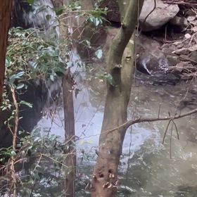 心の声が聞こえない時はの画像