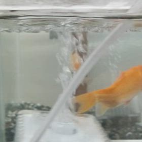 怒涛の時間の画像