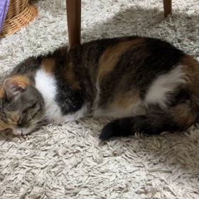 残しておきたくてその2の画像