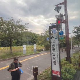 福岡市の街路樹の動画（121）の画像
