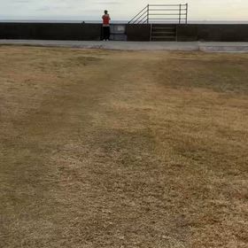 バックから撮られた！の画像