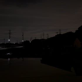 月光とカエルの大合唱の画像