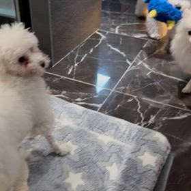 今日は節分の画像