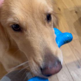 いよいよあさって廣重杯です‼️の画像