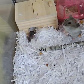 日々成長。の画像