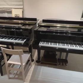 2026年✨今年もレッスンスタートしました...♪*ﾟの画像