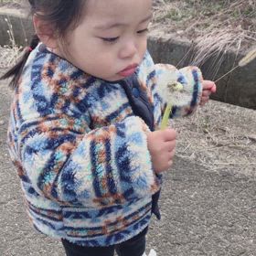 貴重な綿毛の画像