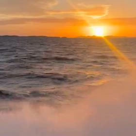 イカ、行かないかん！！の画像