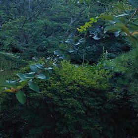 21日。日曜日。晴れ。の画像