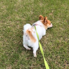 明日の歯医者にもう緊張の画像