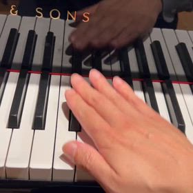 ピアニスト　確認用 スタインウェイD-274 コンサート調律！ | ペトロフピアノ＆チェコを