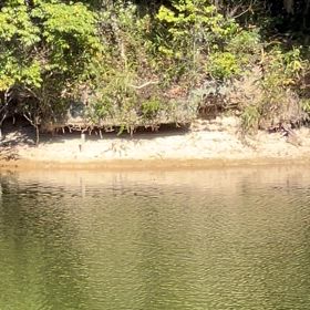 お蔵入り映像(ほぼ)大放出！【Part 15】   近所のお池(Part 11)の画像