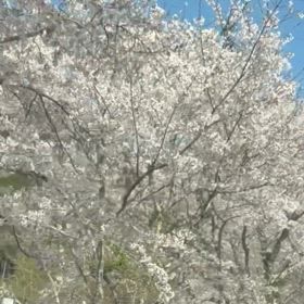 今日の出来事‼️の画像