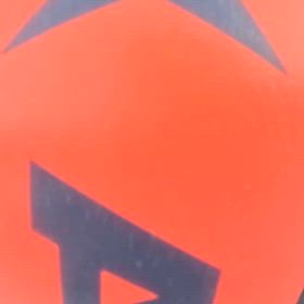 新しいパートナーの画像