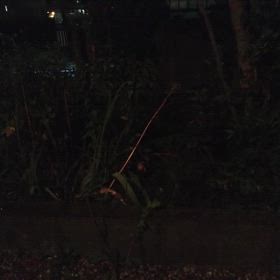 やっぱ秋やねの画像