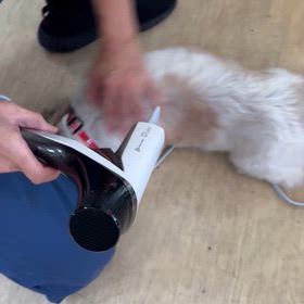 レプロナイザー107Ｄplus 使用動画の画像