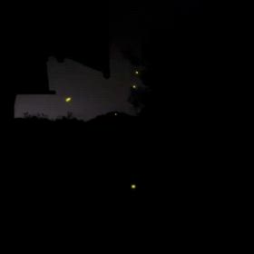 蛍の季節の画像