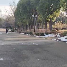 リレー選考会（男子）ゴール付近④の画像