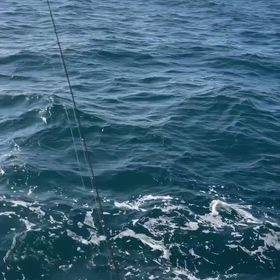 お久しブリ〜！！！！の画像