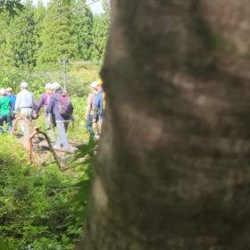 廃線ウォーク　横川→軽井沢　碓氷峠　9/30メモリアルDAY　いよいよ廃線エリアへの画像