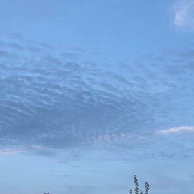 空の画像