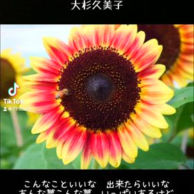 素直すぎて　笑　♡の画像