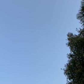 心地よい声の画像