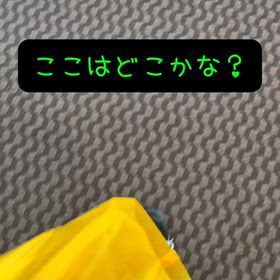 考える犬の画像