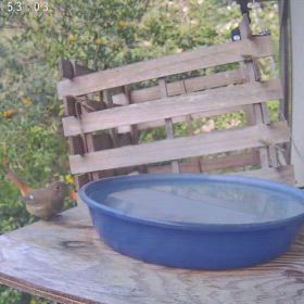 すぎぴたんの事件簿シーズン3　585話（）の画像