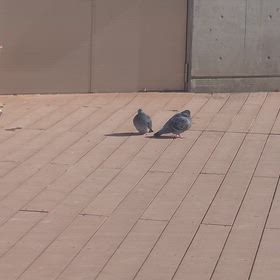 心地良い気候ですねー、,の画像