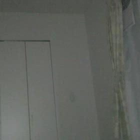 トリッキーなヒュンヒュンさんの画像