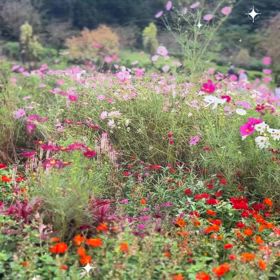 歌&ビジネスボイトレ生徒様募集しています！の画像