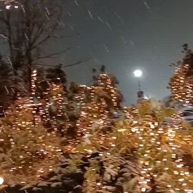 初雪でした❄の画像