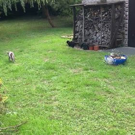 少し解放された気分で、、、の画像