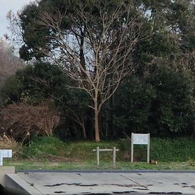 2025年1年間春夏秋冬お世話になりました♀️翌年もよろしくお願いします♀️の画像