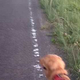 果てしない。の画像