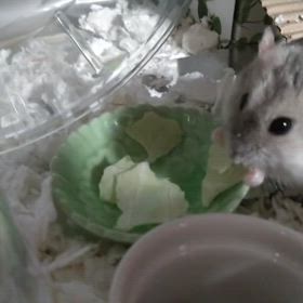 2024/09/01　大たん記録②の画像