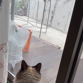 謹賀新年の画像