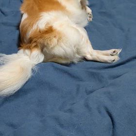 もう⁉️の画像