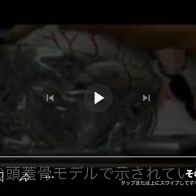 携帯電話の放射線が与える影響　c/2245594472/48の画像